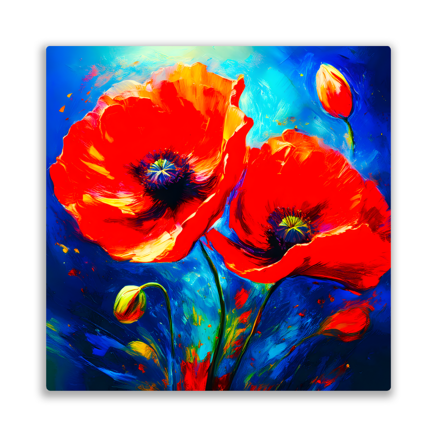 Red Poppy 1, Printed on glossy aluminium to enhance colour and detail, A great gift idea that will endure a lifetime...