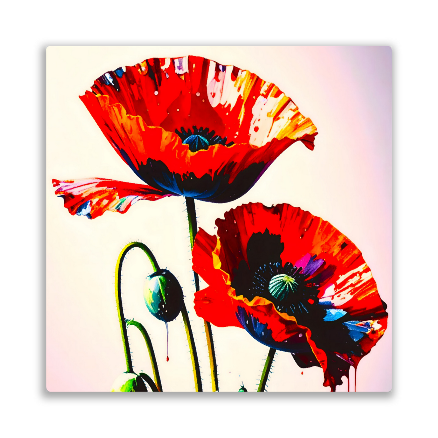 Red Poppy RP2, Printed on gloss aluminium to enhance colour and detail, unique print, an enduring gift...