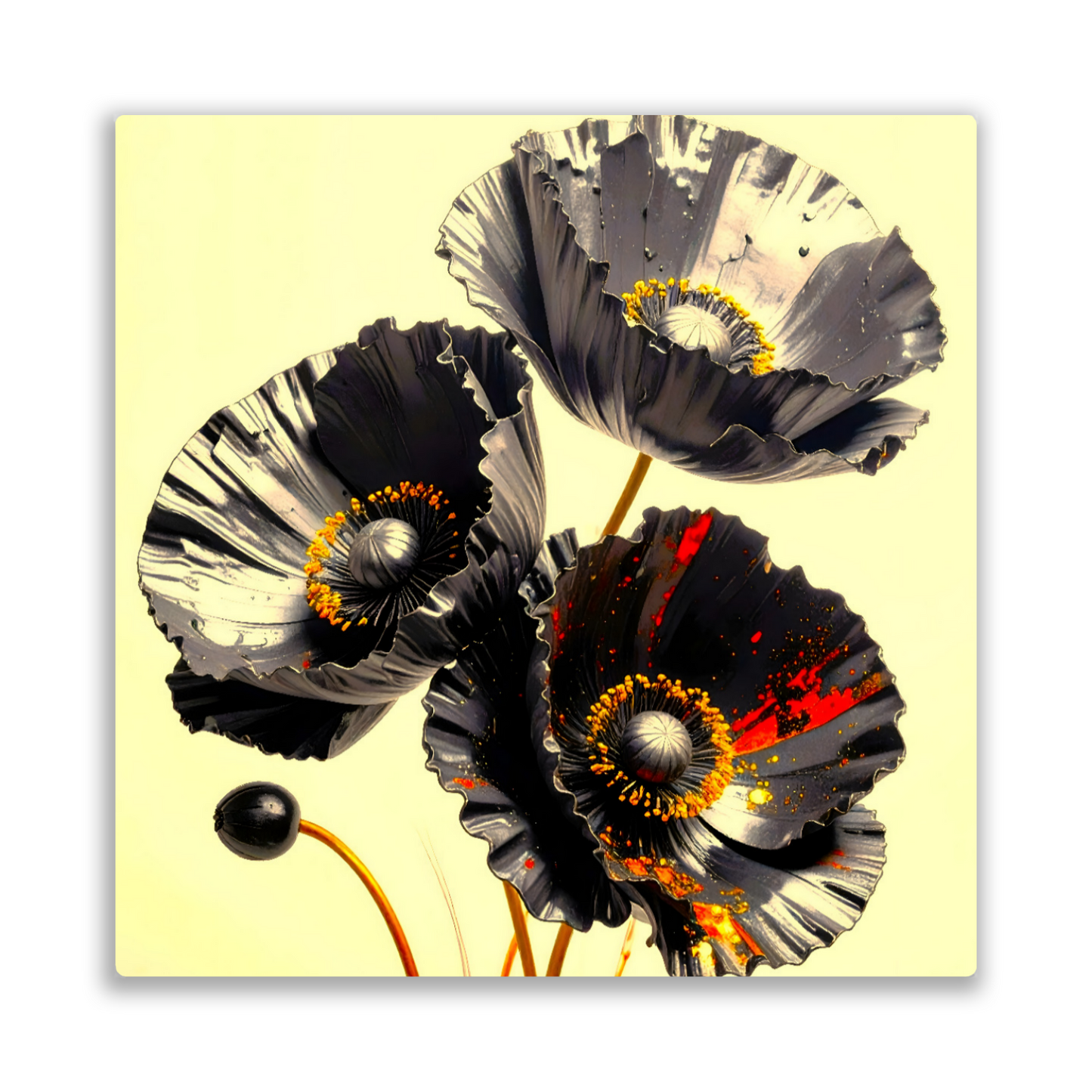 Black Poppy, Printed on gloss aluminium to enhance colour and detail, unique print, an enduring gift...